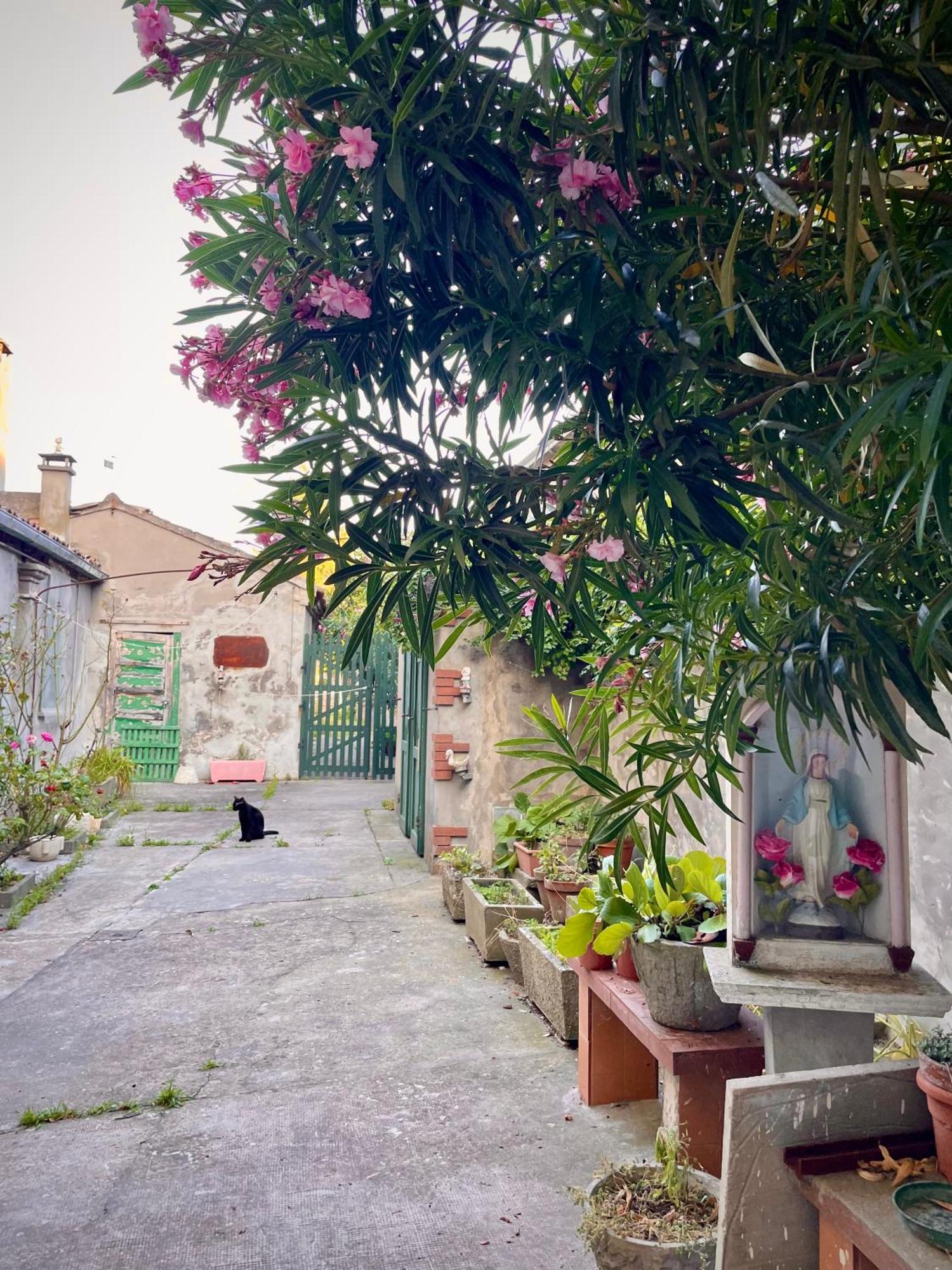 L'Encanto De Luna -Una Casa Autentica Comacchiese Комаккьо Экстерьер фото